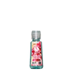 Álcool Gel Antisséptico 70º INPM