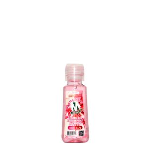 Álcool Gel Antisséptico 70º INPM